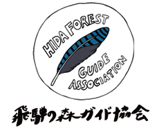 飛騨の森ガイド協会